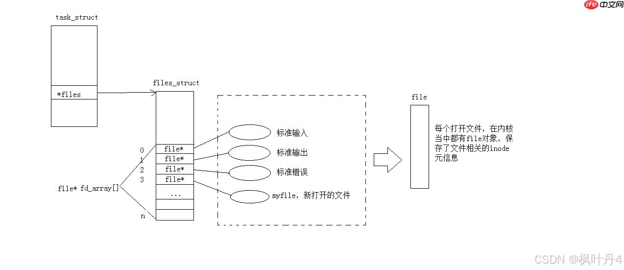 【在Linux世界中追寻伟大的One Piece】IO基础
