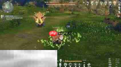 星痕共鸣BOSS野猪王怎么打 BOSS野猪王打法分享