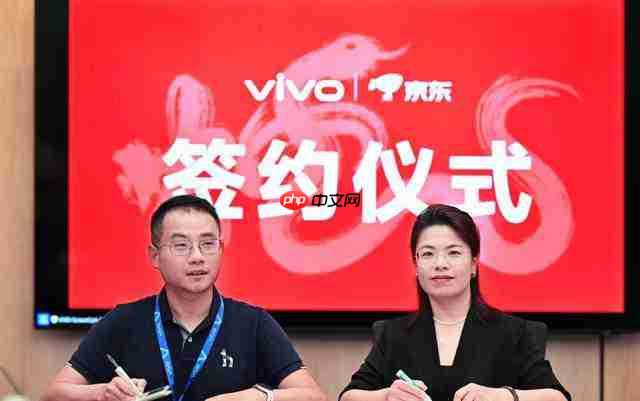  三年销售目标 1000 万台 京东与 vivo 音频战略合作全面升级 