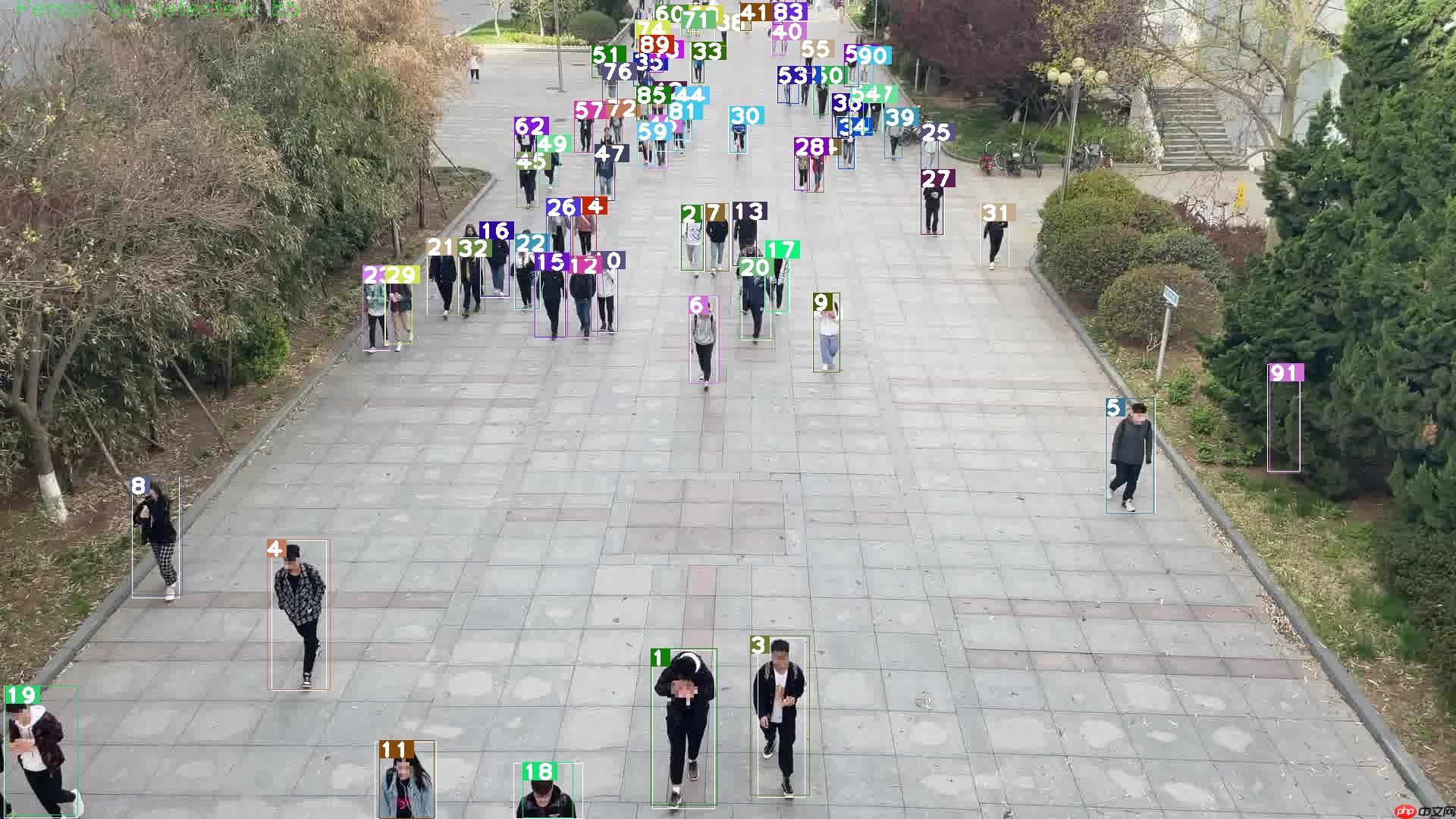 PPYOLO训练行人检测模型 - 创想鸟