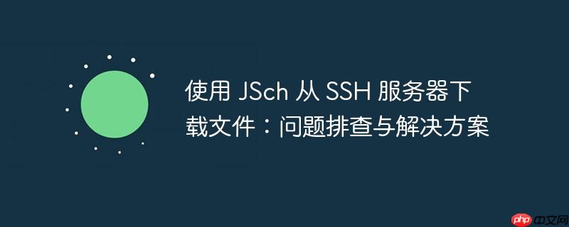 使用 JSch 从 SSH 服务器下载文件：问题排查与解决方案