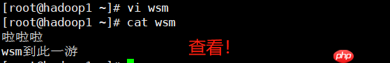 Linux 基础入门学习：(JavaEE~大数据篇)