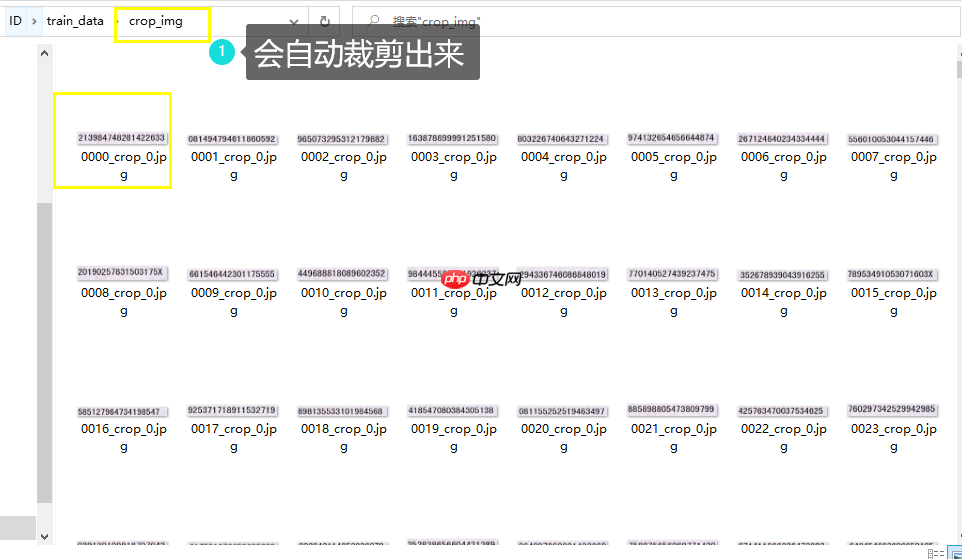 PPOCRLabel半自动工具标注自制身份证数据集 - 创想鸟