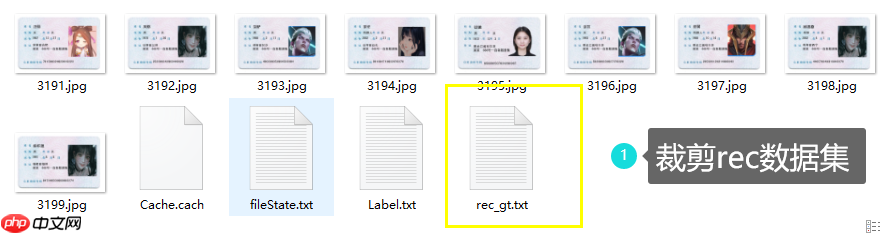 PPOCRLabel半自动工具标注自制身份证数据集 - 创想鸟