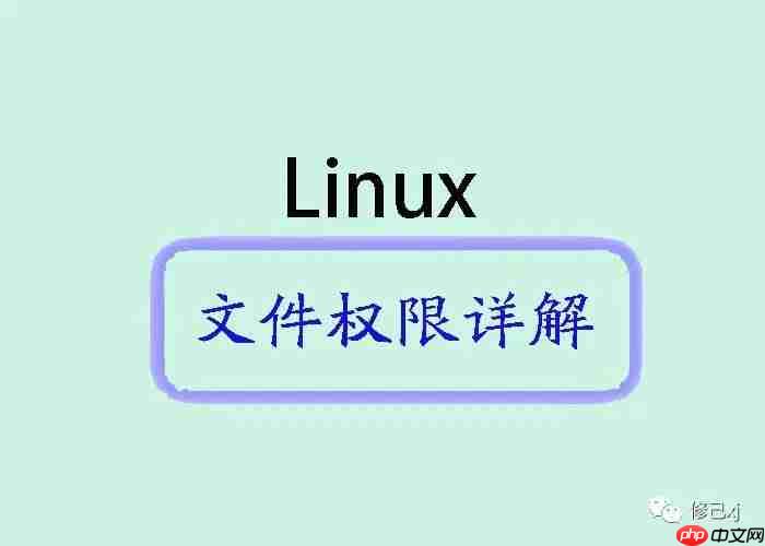 Linux文件权限详解