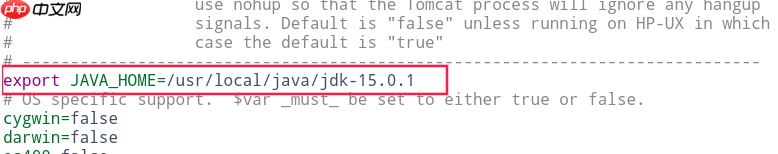 Linux下安装Tomcat 10