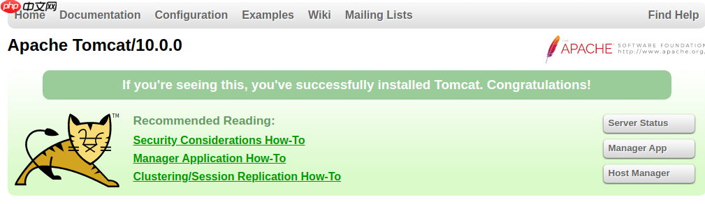 Linux下安装Tomcat 10