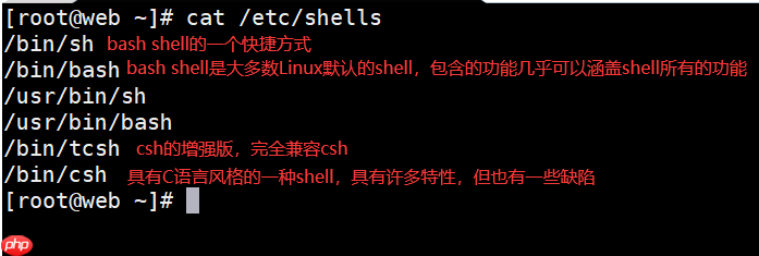 什么是Shell？怎么编写和执行Shell脚本？