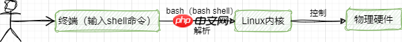 什么是Shell？怎么编写和执行Shell脚本？