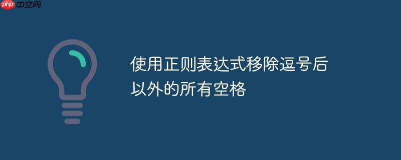 使用正则表达式移除逗号后以外的所有空格