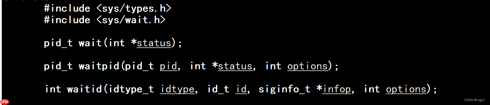 【Linux】进程控制：理解什么是进程创建，进程终止，进程等待 | 进程替换