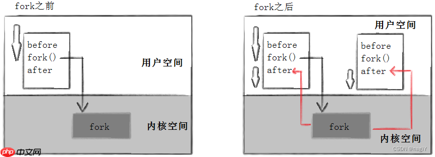 【Linux】进程控制：理解什么是进程创建，进程终止，进程等待 | 进程替换