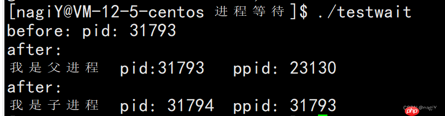 【Linux】进程控制：理解什么是进程创建，进程终止，进程等待 | 进程替换