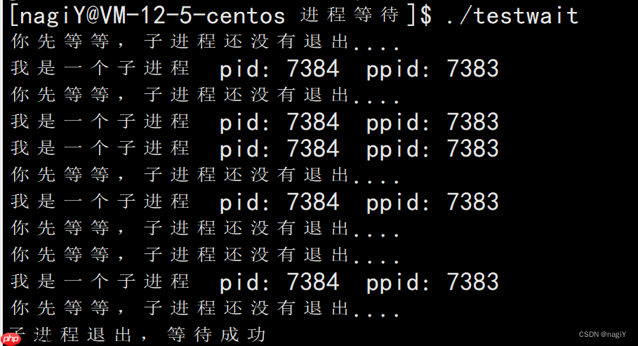 【Linux】进程控制：理解什么是进程创建，进程终止，进程等待 | 进程替换