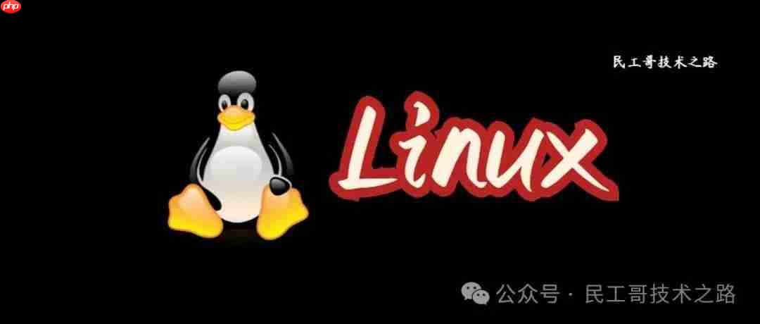 你敢信？至今 Linux 依旧是一个小众的操作系统