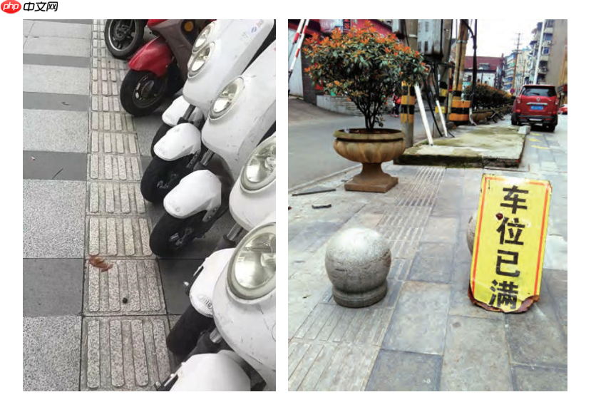 基于飞桨的盲道引导系统 - 创想鸟