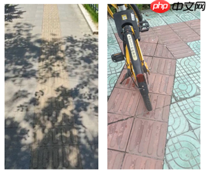 基于飞桨的盲道引导系统 - 创想鸟