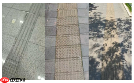 基于飞桨的盲道引导系统 - 创想鸟