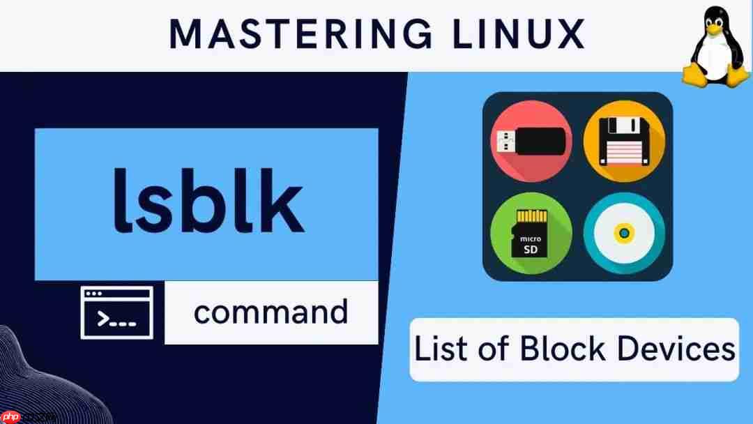 Linux磁盘管理：如何查看UUID和检查分区文件系统