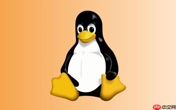 如何配置Linux网络接口VXLAN 虚拟扩展局域网实现