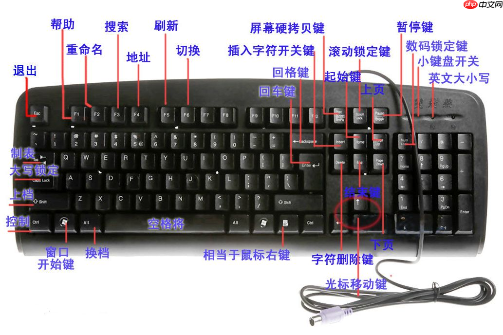 常用快捷键大全