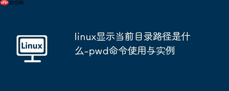 linux显示当前目录路径是什么-pwd命令使用与实例