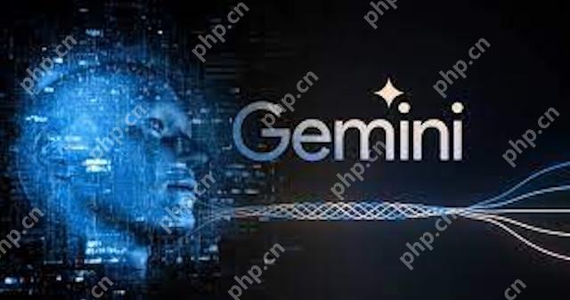 Gemini AI能离线使用吗 Gemini AI联网与本地使用说明