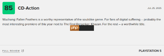 《明末：渊虚之羽》M站媒体评分略有下降 大部分评价均为值得一试