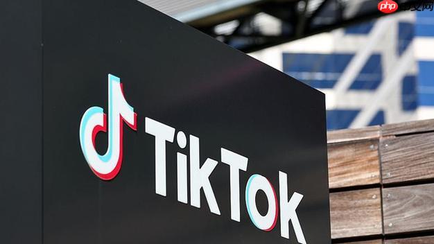 TikTok广告开户全攻略！0基础到审核通过，资料准备+下号实操教程