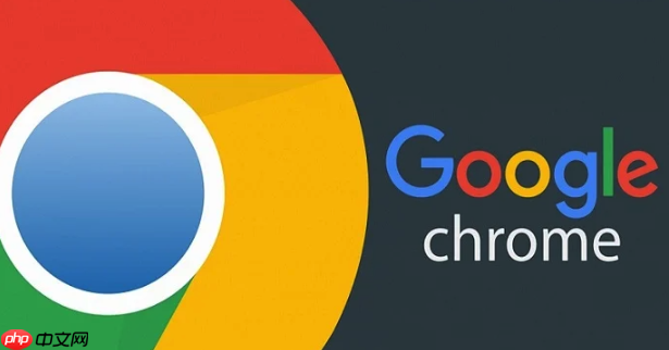 谷歌浏览器如何开启夜间模式 谷歌浏览器的屏幕保护与视觉调整技巧