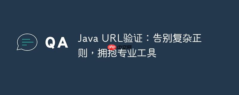 Java URL验证：告别复杂正则，拥抱专业工具