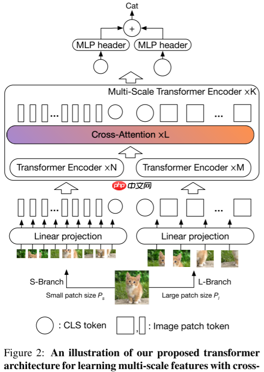 【ICCV 2021】CrossViT：用于图像分类的交叉注意力的多尺度ViT - 创想鸟