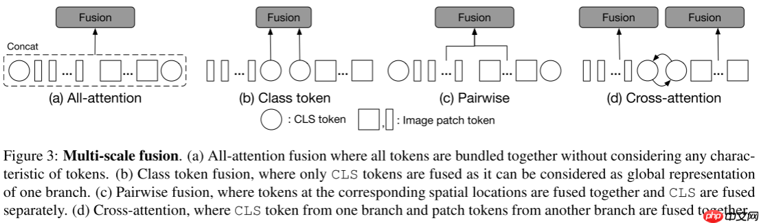 【ICCV 2021】CrossViT：用于图像分类的交叉注意力的多尺度ViT - 创想鸟