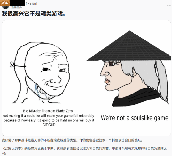 外国玩家盛赞《影之刃零》：很高兴它不是类魂游戏！