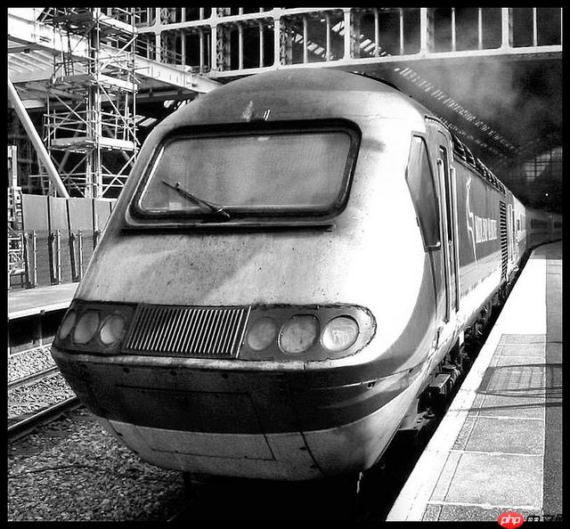 【论文复现】基于 PaddlePaddle 实现 HashNet - 创想鸟