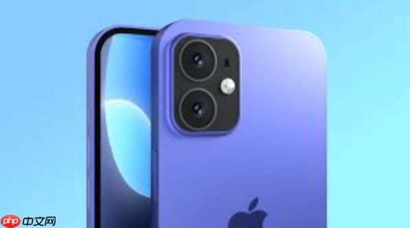 iPhone14灵动岛通知怎么管理 iPhone14灵动岛设置优化实用攻略