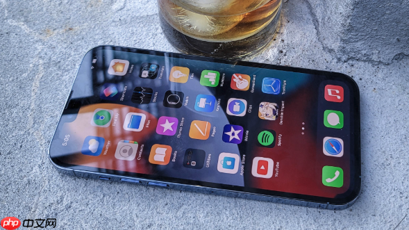 iPhone14灵动岛动画效果如何调 iPhone14灵动岛设置与玩法全攻略