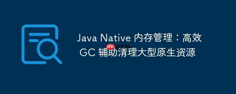 Java Native 内存管理：高效 GC 辅助清理大型原生资源