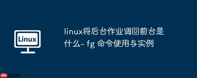 linux将后台作业调回前台是什么- fg 命令使用与实例
