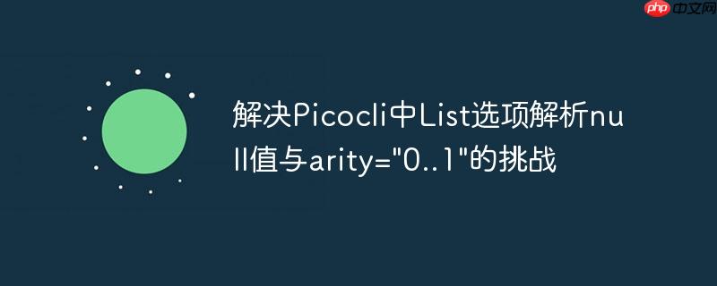 解决Picocli中List选项解析null值与arity=”0..1″的挑战