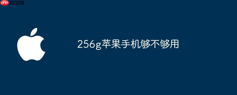 256g苹果手机够不够用