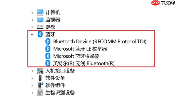 蓝牙耳机搜索不到设备怎么办 一学就会