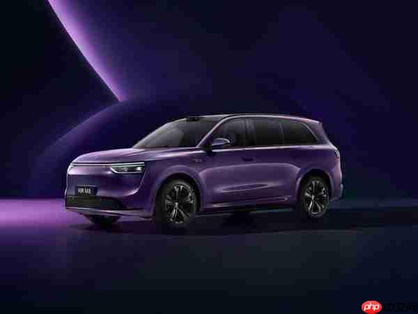2025H1新能源品牌售后能力排名：蔚来问界小米居前三