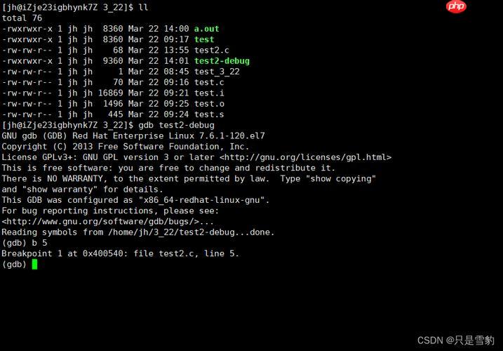 如何查看Linux文件系统类型 df与lsblk命令使用技巧