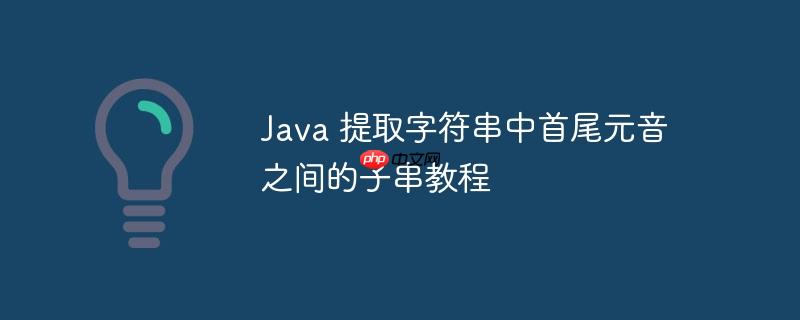 Java 提取字符串中首尾元音之间的子串教程