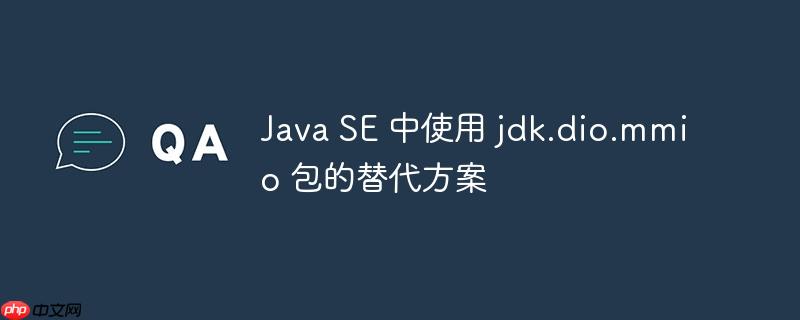 Java SE 中使用 jdk.dio.mmio 包的替代方案