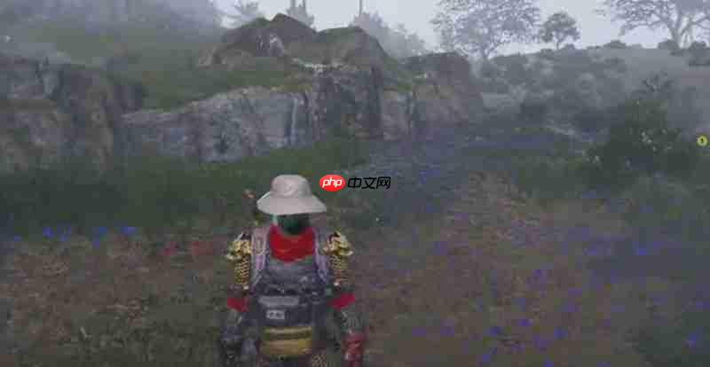 七日世界香蕉在哪里采集 香蕉位置介绍攻略