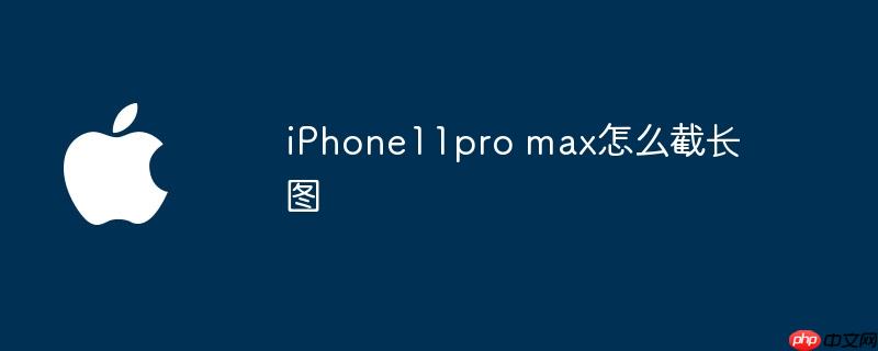 iPhone11pro max怎么截长图