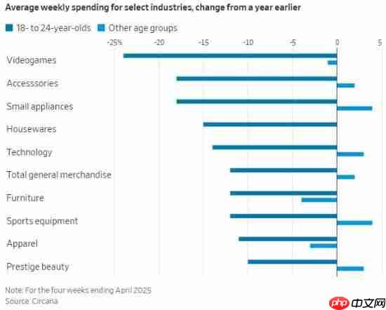 研究显示：Z世代游戏支出暴跌近25% 远超年长玩家