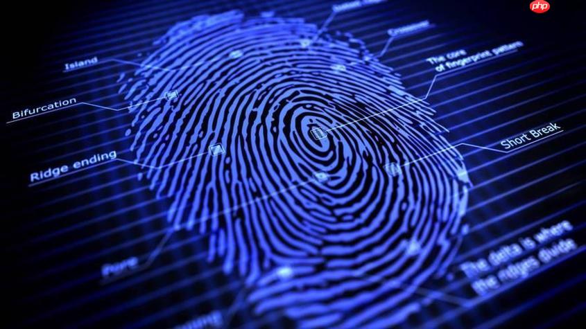 指纹浏览器的使用方法是什么 新手入门操作步骤图解